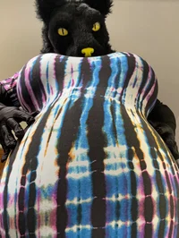 Big Belly Kaljath V2