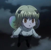 The Shaiapouf clones