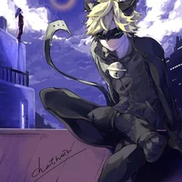 Cat Noir