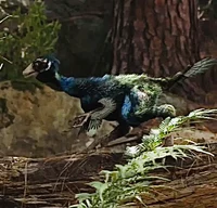Caudipteryx