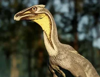 Beipiaosaurus