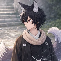 Saulkitsu Observador