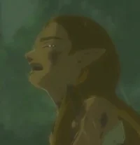 zelda - botw