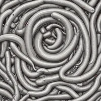 The worm virus