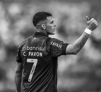 PAVON