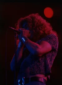 Robert plant