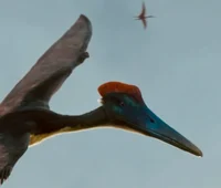 Pterodactylus