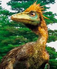 Troodon