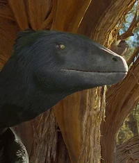 Deinonychus