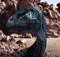 Eoraptor