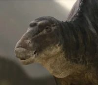 Maiasaura