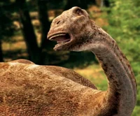 Saltasaurus