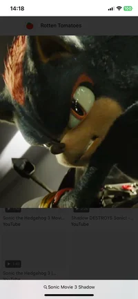 Shadow The Hedgehog 