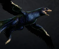 Microraptor