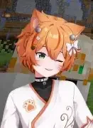 A Diapered Tabby Pac