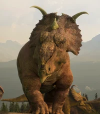 Pachyrhinosaurus