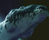 Liopleurodon