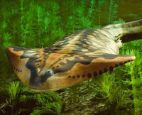 Diplocaulus