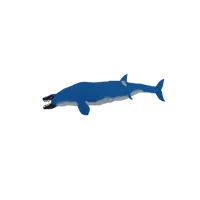 AU-Basilosaurus WP