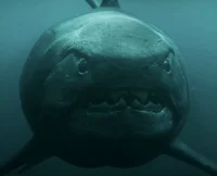 Dunkleosteus