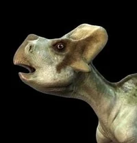 Leptoceratops