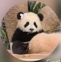 Karma