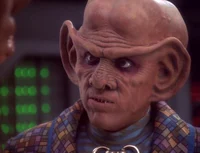 Quark
