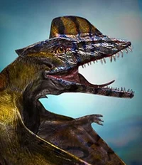 Scaphognathus