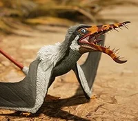 Rhamphorhynchus