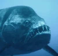 Xiphactinus
