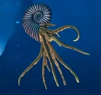 Parapuzosia