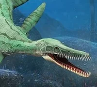 Trinacromerum