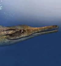Geosaurus
