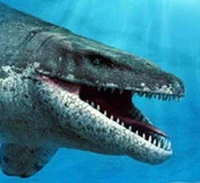 Prognathodon