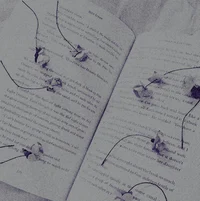 - updates and social