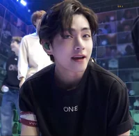 Kim Taehyung 