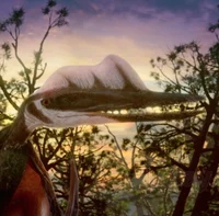 Darwinopterus