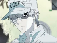 Mr Neutrophil U-1146