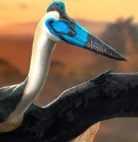 Aerotitan