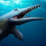 Plotosaurus