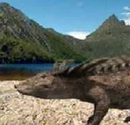 Desmatosuchus