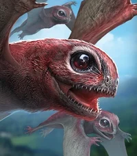 Anurognathus