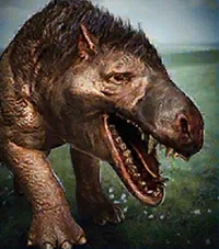 Andrewsarchus