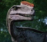 Proceratosaurus