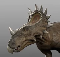 Sinoceratops