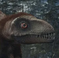 Sinosauropteryx