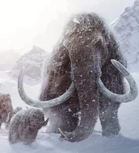 Woolly Mammoth