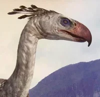 Phorusrhacos