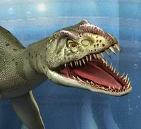Umoonasaurus