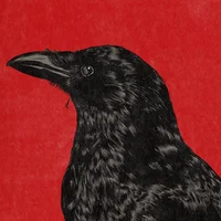 Raven